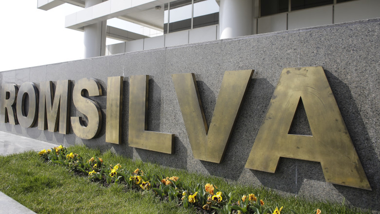 numiri controversate la romsilva politicieni care au fost acuzati in trecut de coruptie buzoianu nu sunt multumita de rezultat 6895a13423003