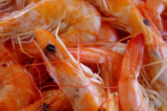 pericol alimentar creveti radioactivi intr un lant de magazine risc de cancer crescut 68a71e5e2905f