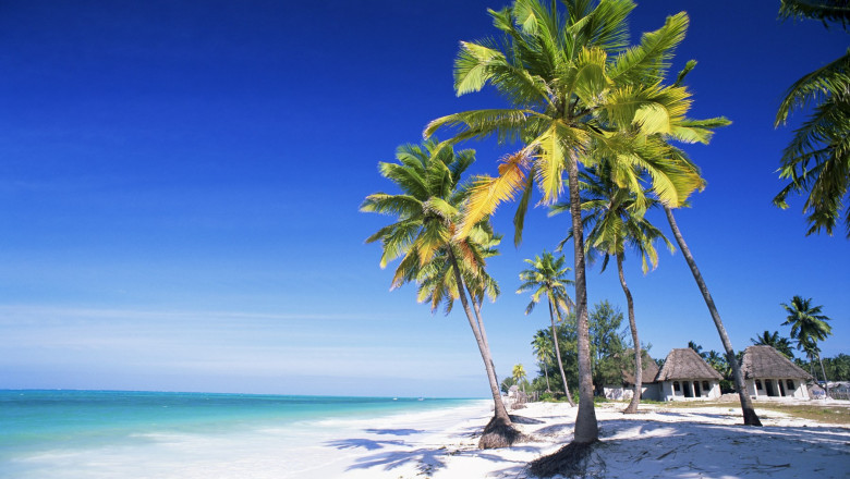 peste 30 de persoane din satu mare inselate cu vacante fictive in zanzibar la cat se ridica prejudiciul 689da6e215b4c