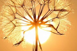 prognoza meteo 30 august final de vara cu surprize intre canicula sufocanta si furtuni violente 68b281939ff70