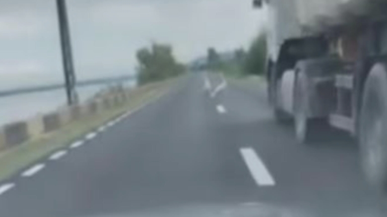 scena revoltatoare pe sosea sofer surprins in timp ce calca intentionat o lebada 68a4814ebc5e3
