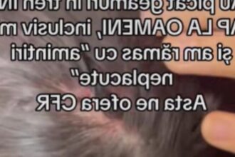 scene socante intr un tren din romania o femeie si o copila de 12 ani au fost ranite dupa ce mai multe geamuri s au spart in mers 68a45e84bff6c