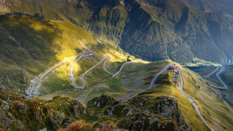 turistii atacati frecvent de cainii de la stane sfaturile si recomandarile salvamont 689712a4ad46d