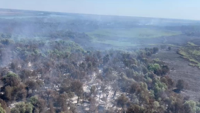 video incendii in delta dunarii pompierii incearca stingerea focului din aer si de pe apa 68986e9647dfe