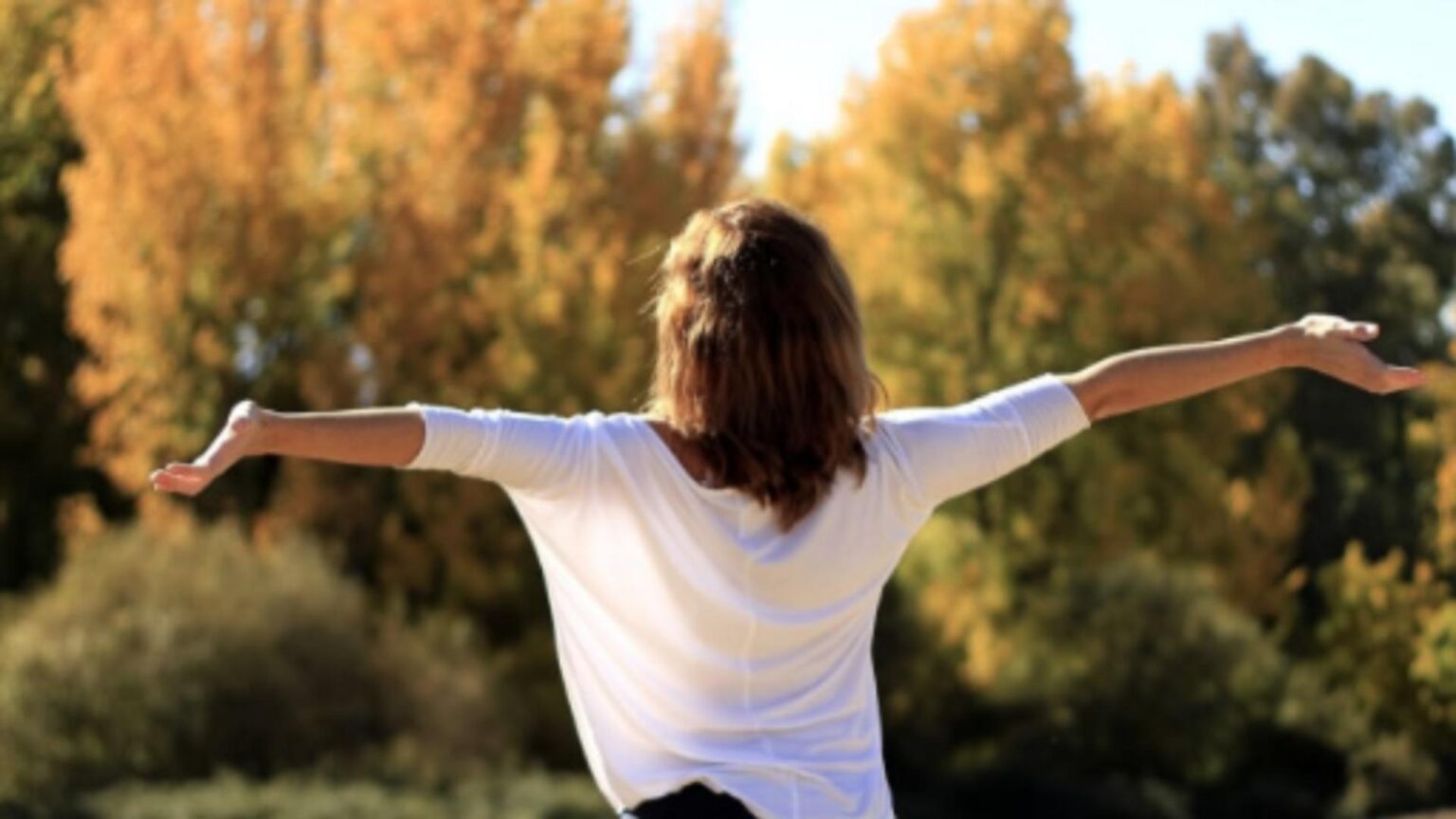 activitati constiente pentru a ti regasi calmul indiferent de varsta ce recomanda specialistii 68bfda280c319