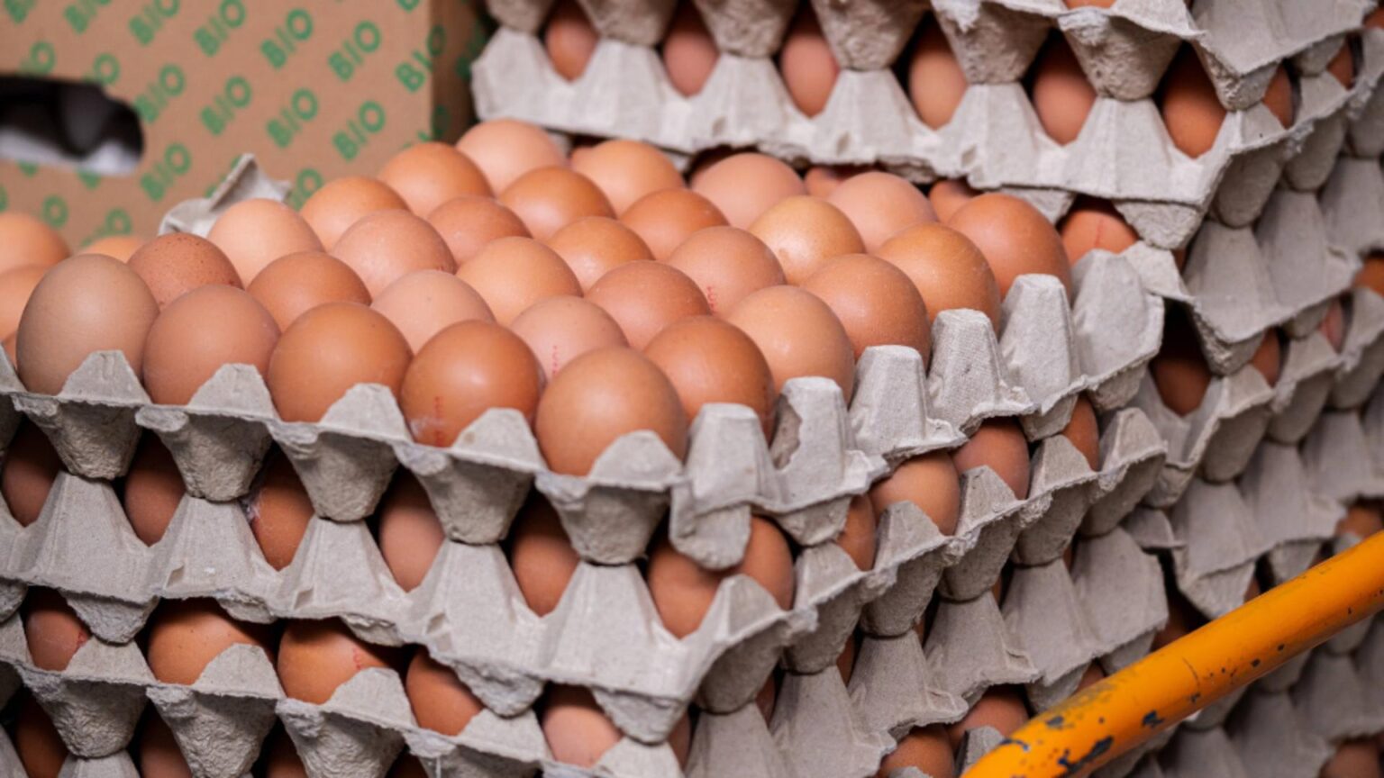 alerta alimentara oua bio retrase de pe rafturile a doua supermarketuri risc de salmonella 68cd5f52261ce