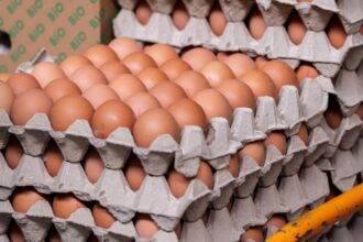 alerta alimentara oua bio retrase de pe rafturile a doua supermarketuri risc de salmonella 68cd5f52261ce