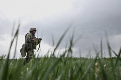 aur cere presedintelui romaniei referendum pentru misiunile de pace din ucraina 68baa2da83a64