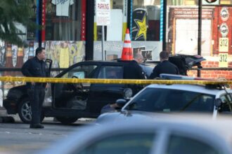 cadavru gasit in masina unui celebru artist ce reactia a avut barbatul 68c1bd64e2c31