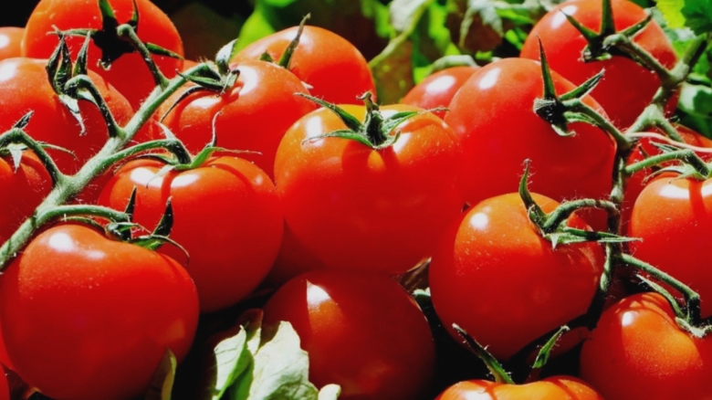 cum sa ai rosii coapte si aromate in luna septembrie trucul secret pe care gradinarii il folosesc la fiecare inceput de toamna 68bb449ab210b