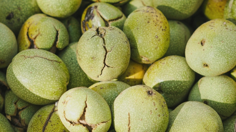 cum sa cureti petele de la nucile verzi de pe maini si de pe haine solutii la indemana oricui 68b6971241122