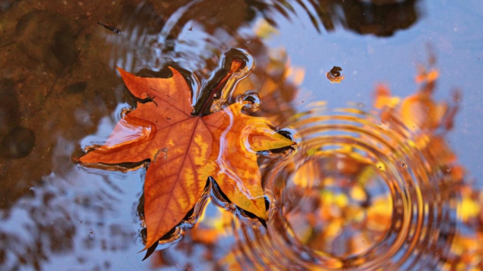 cum va fi vremea in septembrie prognoza meteo pe doua saptamani 68bebacdca7e1