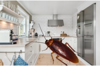 electrocasnicul care iti poate umple casa de gandaci este nelipsit din casele romanilor 68c866cae5b2f