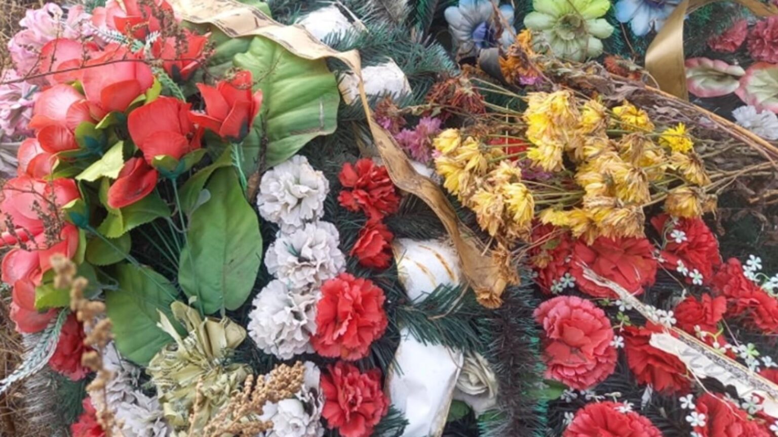 inmormantari prietenoase cu mediul la timisoara primaria lui fritz vrea sa interzica in cimitir coroanele si florile de plastic 68c15fe9a61e5