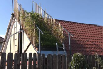 romanul care creste legume pe acoperisul casei sunt chiar incantat nu e un lucru rau 68c6e53c7ef72