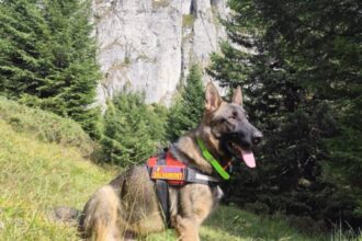 schelet uman descoperit in muntii ceahlau anchetatorii cred ca ramasitele dateaza de peste 20 de ani tulburator ce au gasit in haine foto 68c162545992c