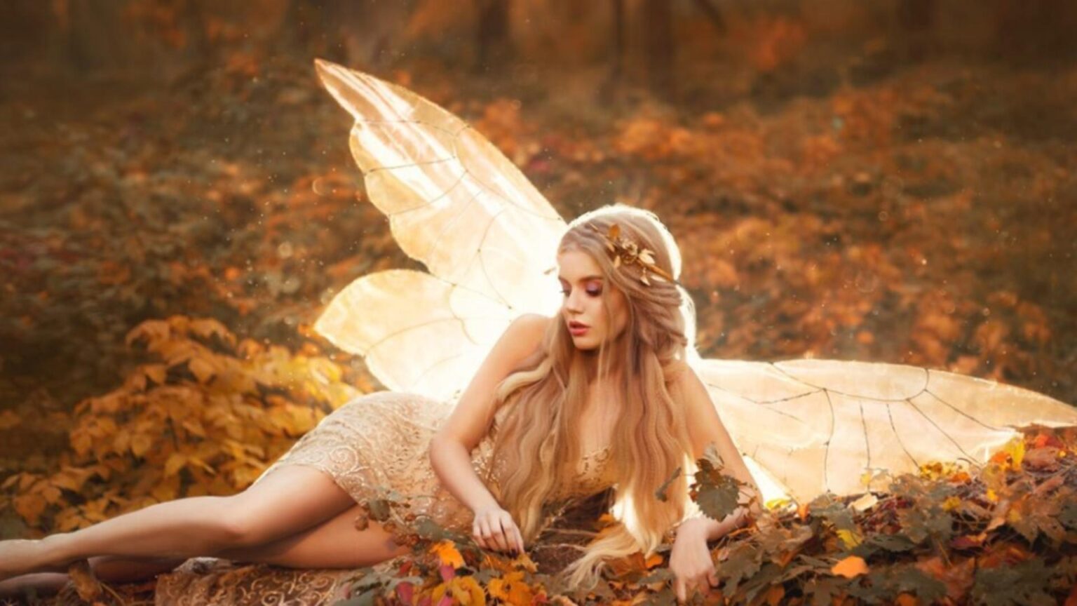 zodiile care vor intra intr o etapa noua de viata vor avea parte de noroc pe toate planurile 68c13d0c0411a