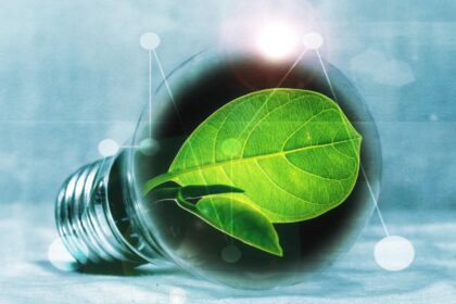 camera deputatilor a adoptat legea prosumatorilor 68ef85ce275c4