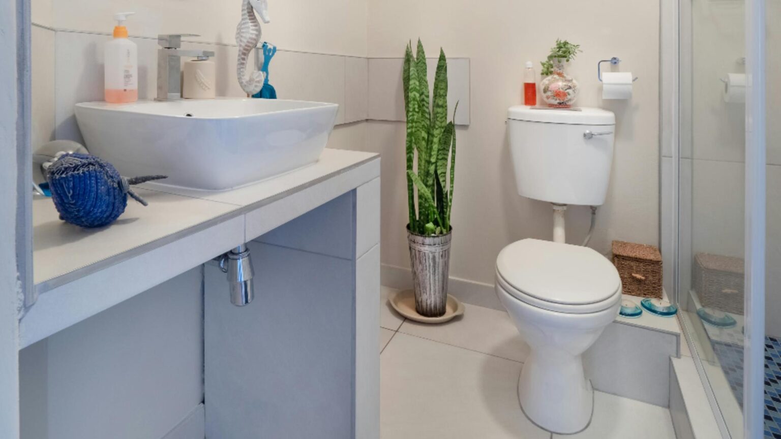 de ce se face praf in baie ce trebuie sa faci ca sa previi aparitia acestuia 68e4c421a4bef