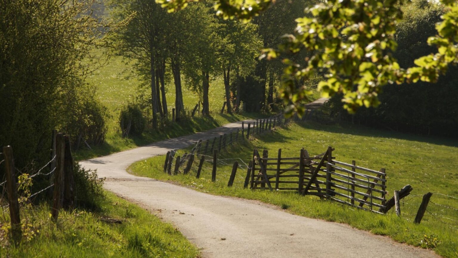 horoscopul de weekend 11 12 octombrie 2025 vin bani neasteptati pentru o zodie 68e8e30a71808