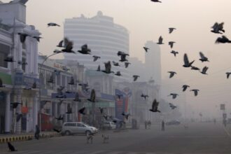 india provoaca pentru prima data o ploaie artificiala deasupra capitalei new delhi pentru a combate poluarea 68fb7b3c7e300