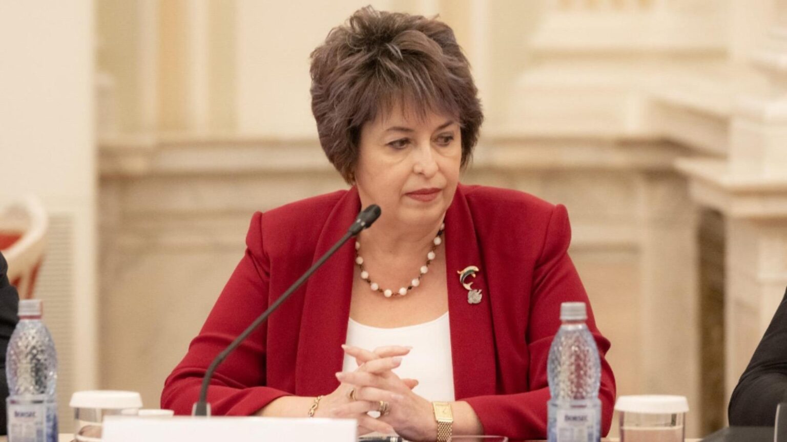 niculina stelea aur romania a absorbit efectiv doar 11 din fondurile europene aferente actualului exercitiu bugetar al ue 68ee1025d773f