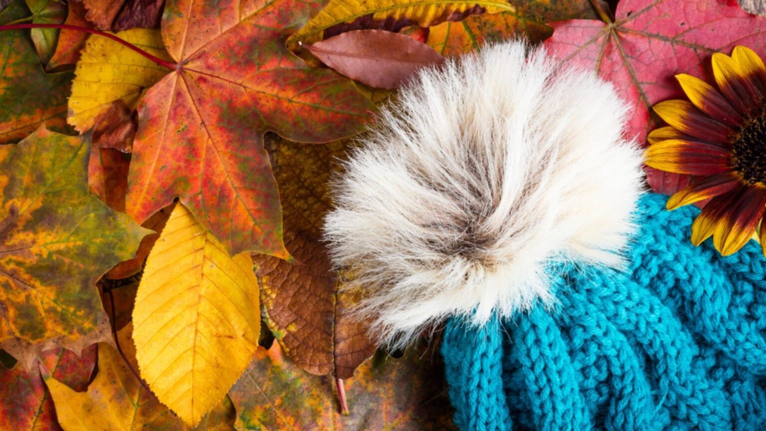 vremea schimba foaia la final de saptamana la ce maxime sa ne asteptam prognoza pentru urmatoarele doua saptamani 68e3ad732ccb0 1