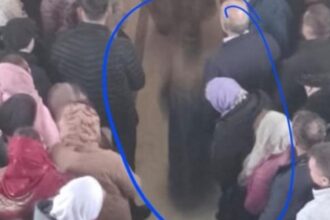 aparitie misterioasa la o parohie din vaslui o silueta interpretata ca fiind sfantul nectarie fotografiata in timpul unei slujbe 6923263d6e00e