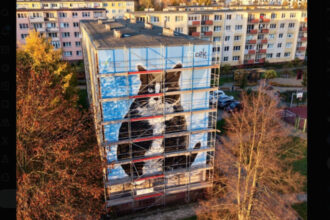 cum arata kim kardashian a lumii pisicilor felina a fost onorata cu o pictura murala uriasa intr un oras polonez 690d7d6e98d43