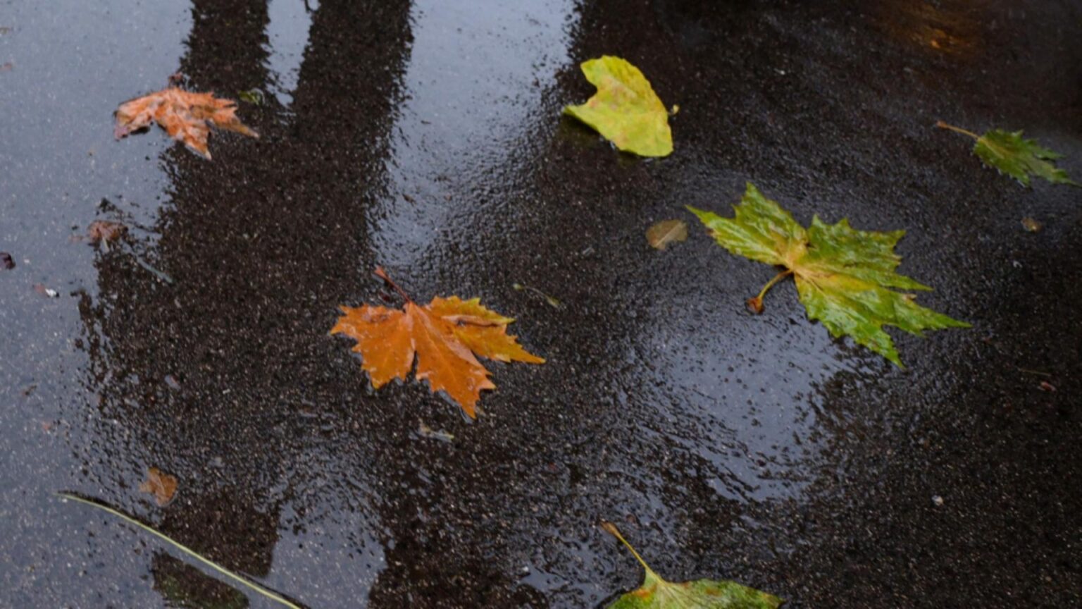 schimbare radicala a vremii de miercuri ploi vant si temperaturi in scadere accentuata la munte sunt asteptate ninsori 6926bdf0c4480