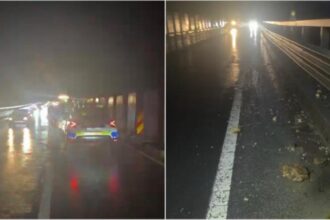 valea oltului bombardata de o ploaie de bolovani care a cazut pe sosea la boita video 692b391bd9858