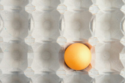 video de ce a aparut o criza de oua in magazinele din romania are legatura cu conditiile in care traiesc gainile din ferme 692c961fc13c6