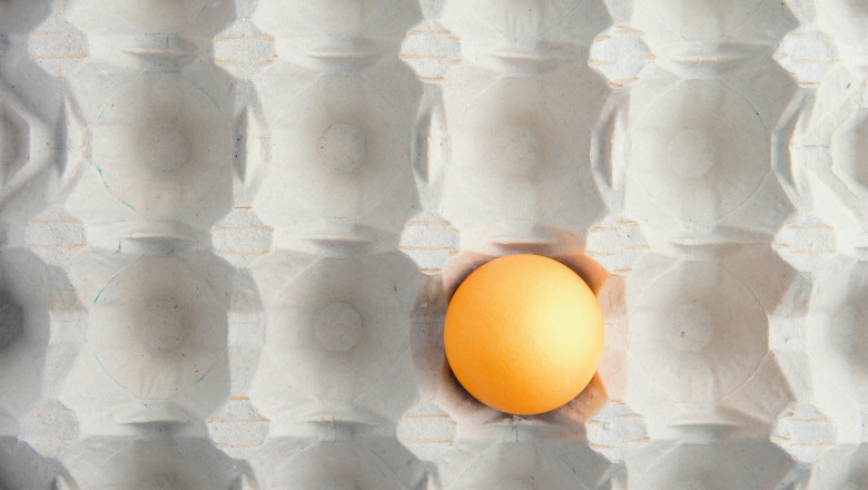 video de ce a aparut o criza de oua in magazinele din romania are legatura cu conditiile in care traiesc gainile din ferme 692c961fc13c6