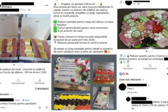 video pericolul din spatele prajiturilor si aperitivelor comandate online de la vanzatori fara autorizatii la ce riscuri ne expunem 692a949c20cf9