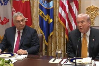 viktor orban le da lectii lui bolojan si nicusor dupa intalnirea cu trump cat timp el este presedinte iar eu prim ministru nu vor exista sanctiuni 6911cd1b7355f