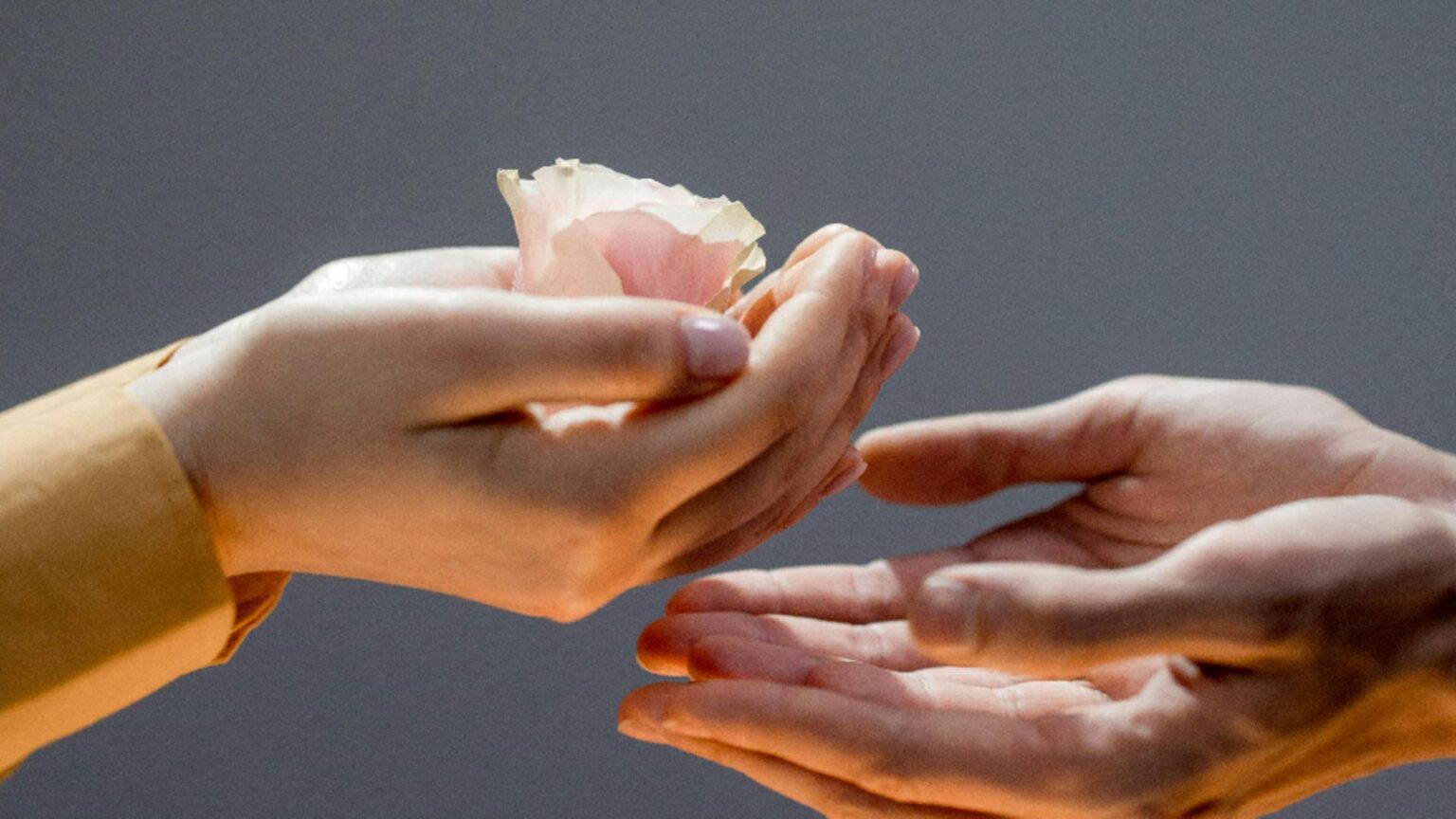 zodiile care se sacrifica mereu pentru cei aflati in nevoie acesti nativi sunt cei mai empatici 6927ff0bc47ca