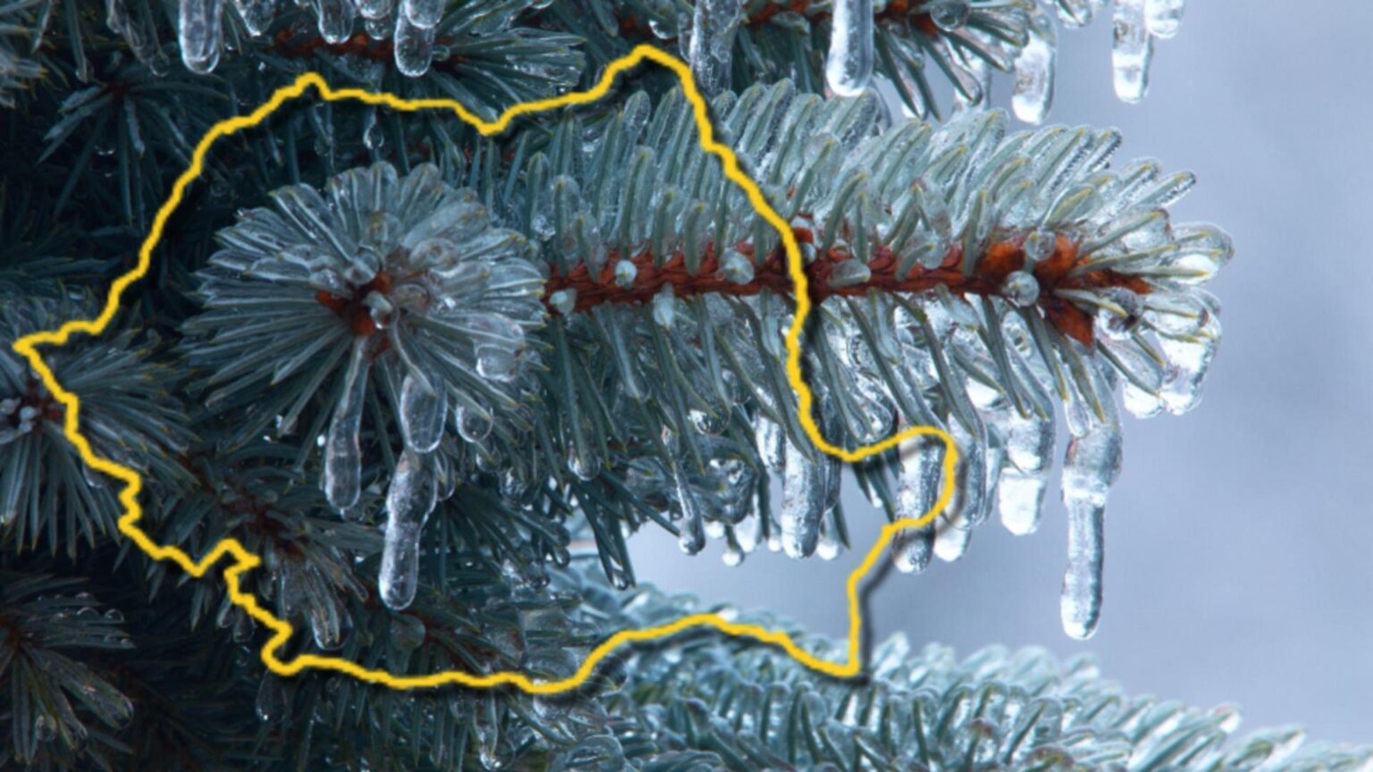 alerta de la anm cod galben de ceata si polei in cinci judete din tara in orele urmatoare 693fccf9e7d32