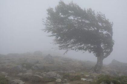 avertizare meteo sudul si estul tarii sub cod galben de vant puternic harta cu zonele vizate 6933f2b4733e3