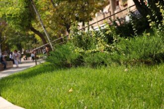 bucurestiul si deficitul de spatiu verde util un oras mare cu o suprafata verde mica 693960bfac7a3