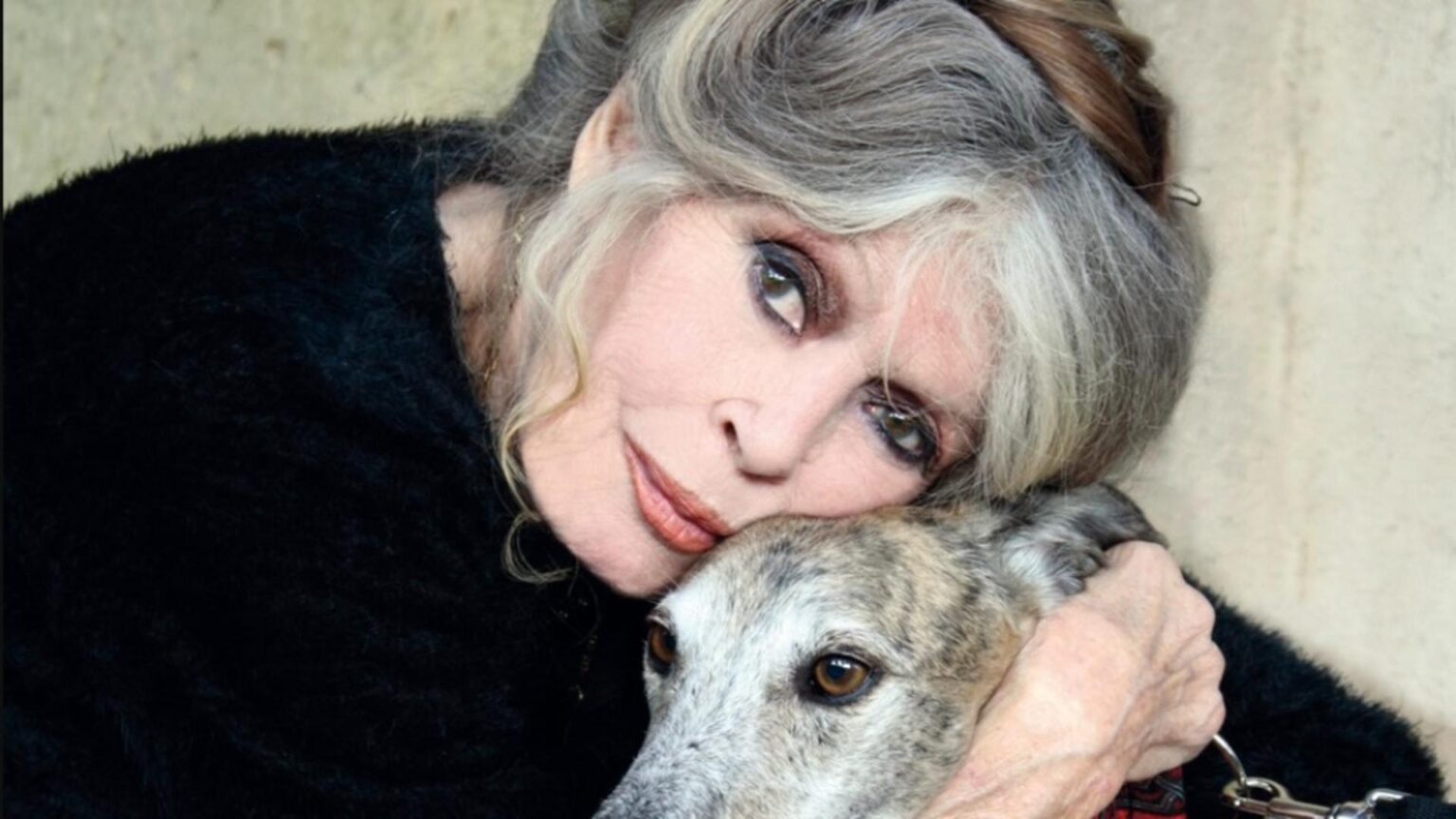 cand va avea loc inmormantarea lui brigitte bardot marea actrita va fi inmormantata la saint tropez langa cainii ei 6952cf910d7bb