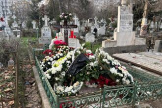 cum se va imparti averea rodicai stanoiu la cine ajung vilele 69453e85b3fb7