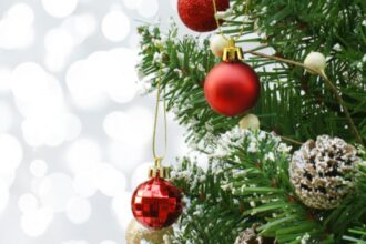 de unde a aparut originea bradului de craciun 6932a2766f82c