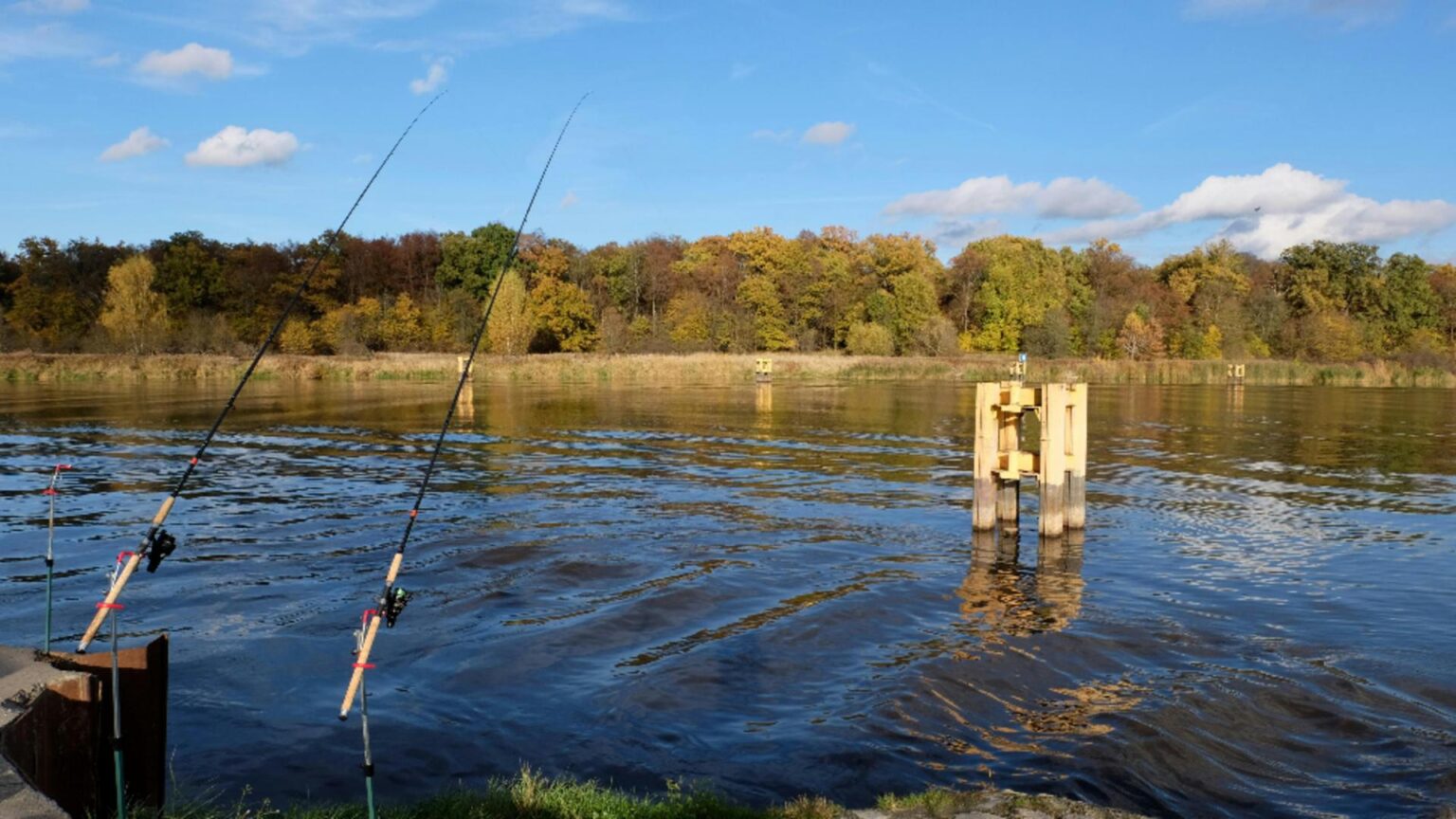doua grenade au fost prinse cu undita in timpul unei partide de pescuit pe dunare 69352cf2a966a