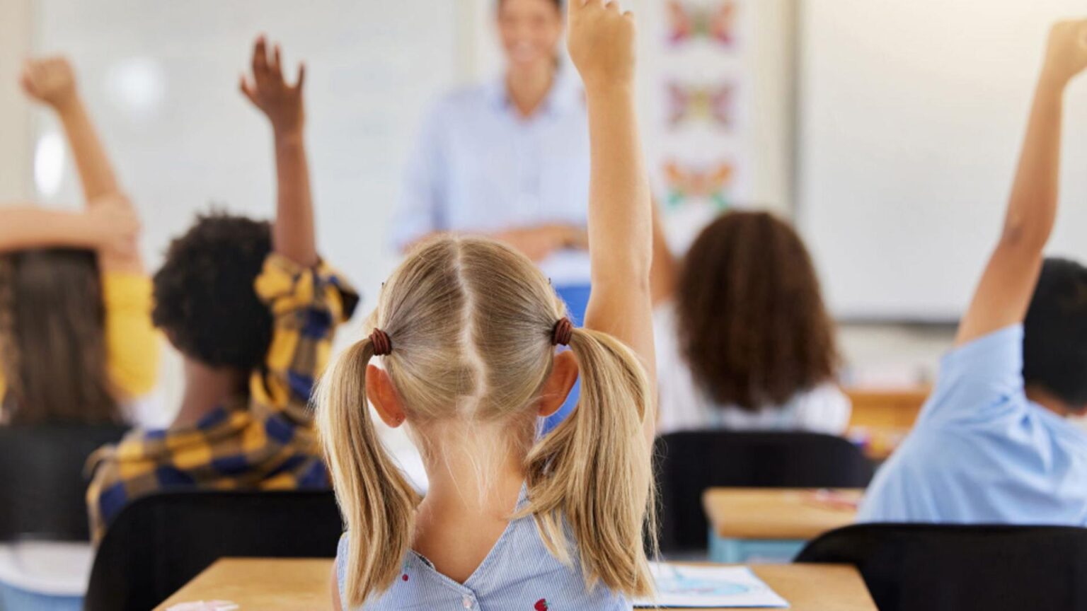 este oficial doua materii noi in scoli aprobate de ministerul educatiei 694978f165673