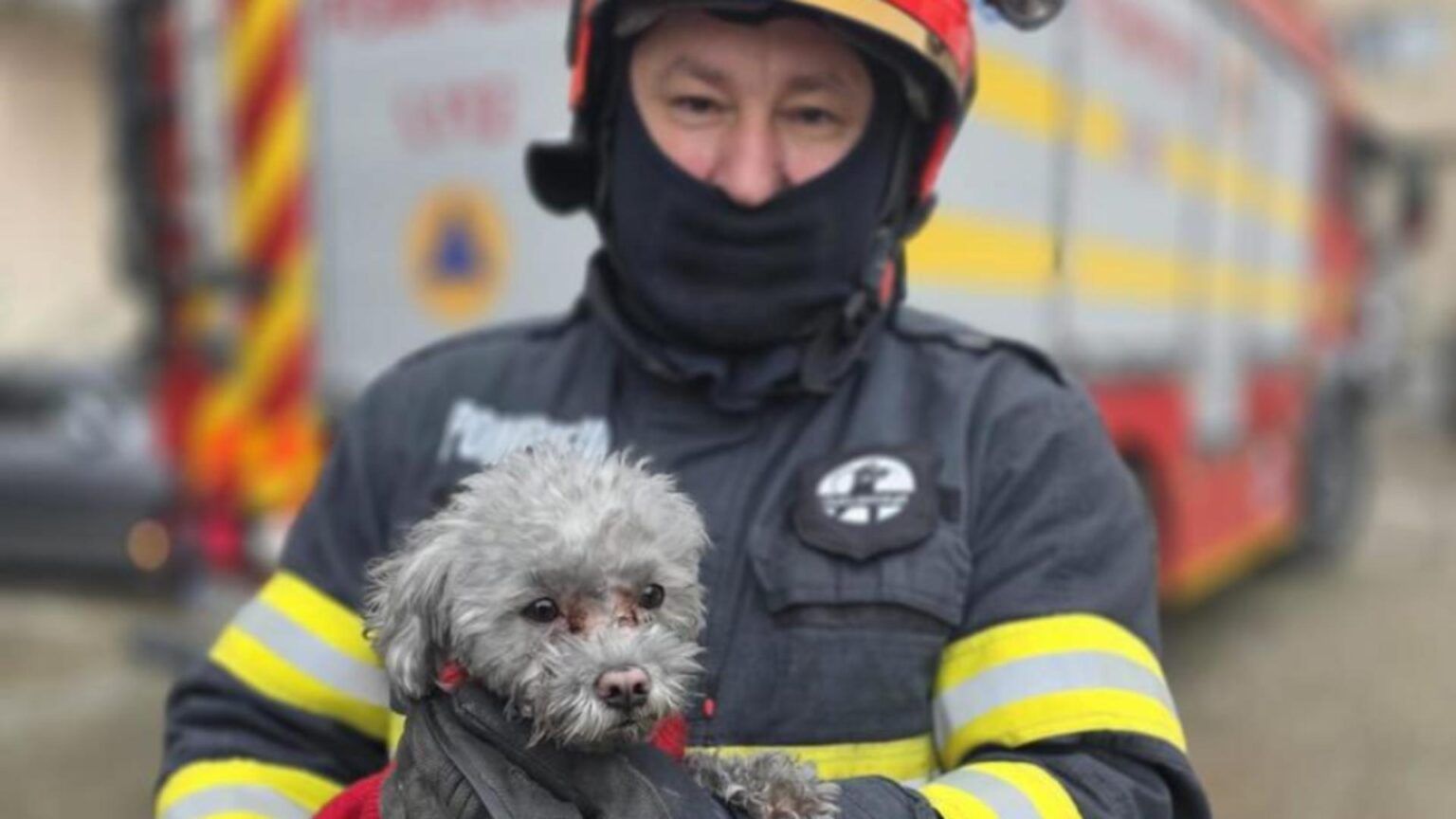 incendiu intr un bloc din giurgiu zeci de locatari evacuati in a doua zi de craciun 694e9ce16e1d3