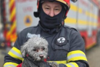 incendiu intr un bloc din giurgiu zeci de locatari evacuati in a doua zi de craciun 694e9ce16e1d3