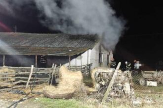 incendiu suspect la o ferma din satu mare anchetatorii iau in considerare ca femeia sa fi fost incendiata de iubit 694bac8a434c2