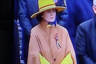 judecatoarea scantei pata galbena de la parada de 1 decembrie tinuta scandaloasa care a sfidat protocolul 692daae53163a