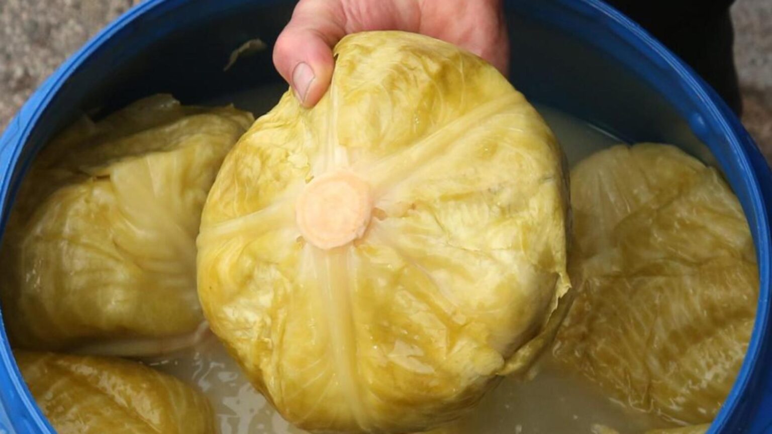 motivul pentru care nu se acreste varza greseala pe care majoritatea gospodinelor o fac 692fdc538313c