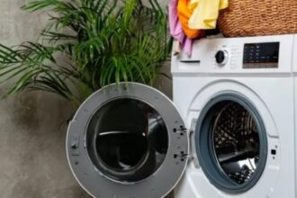 motivul pentru care nu trebuie sa lasi usa masinii de spalat deschisa prea mult timp greseala pe care majoritatea gospodinelor o comit 6948552172f29